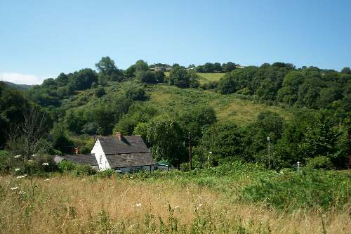 View over Lee Copse.