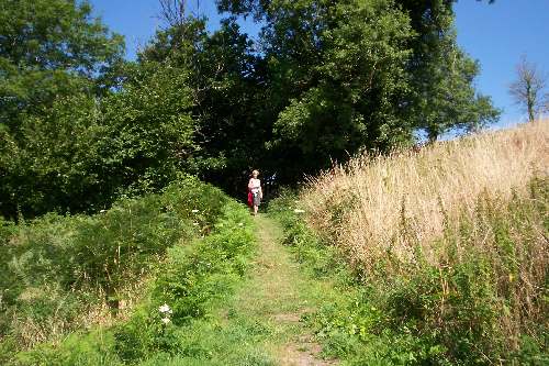 Short Cut to Berrynarbor (Avoiding step hill).