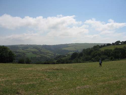 View from Slew Hill to Wood Park Lane