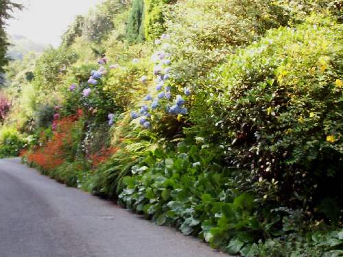 flower display along the road.