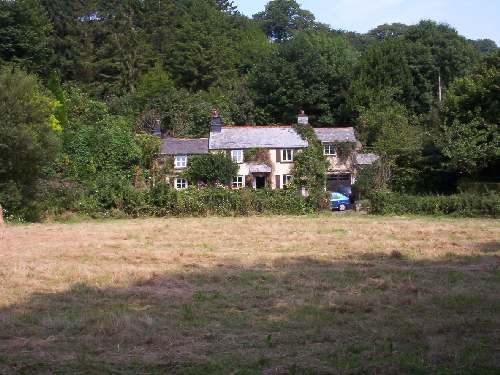 View from a hay field