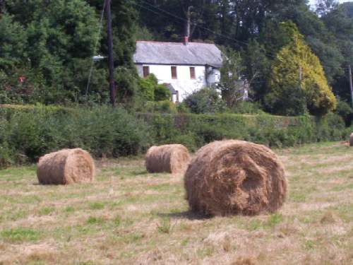 View from a hay field