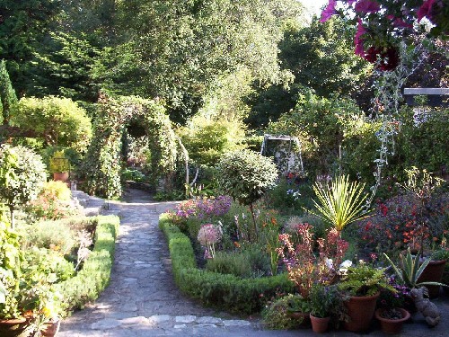 The garden