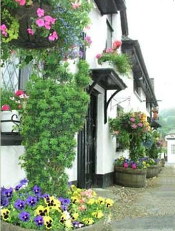 Outside Bessemer Thatch.